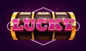 bigwin com